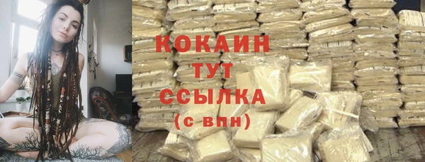 таблы Няндома