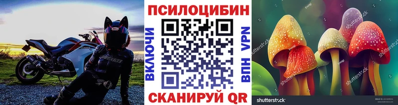 Галлюциногенные грибы Psilocybe  Рошаль 