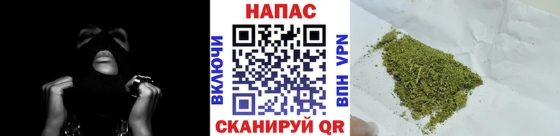 Бошки Шишки VHQ  Рошаль 